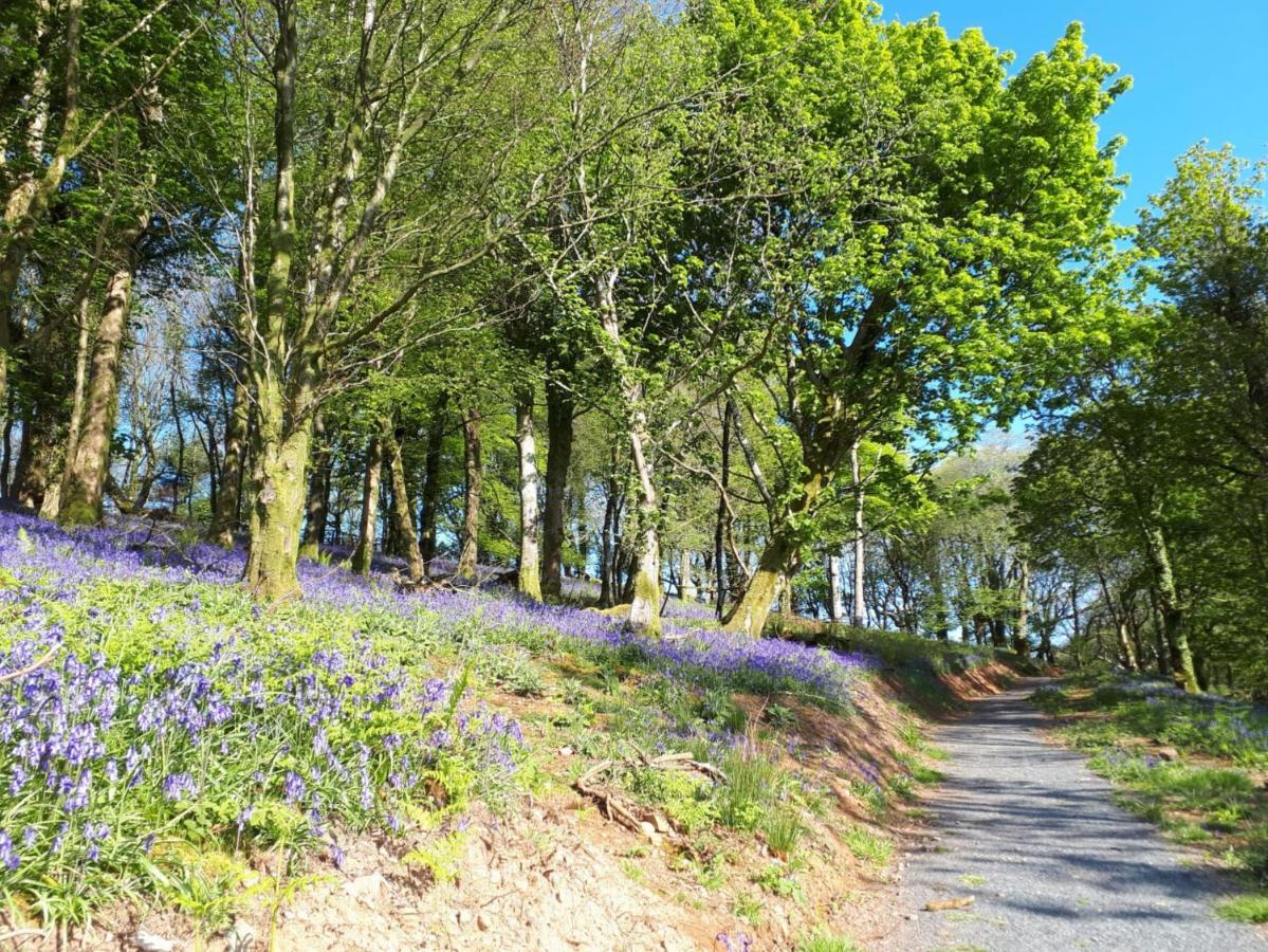 Corsewall Arms Guest House Stranraer Bagian luar foto